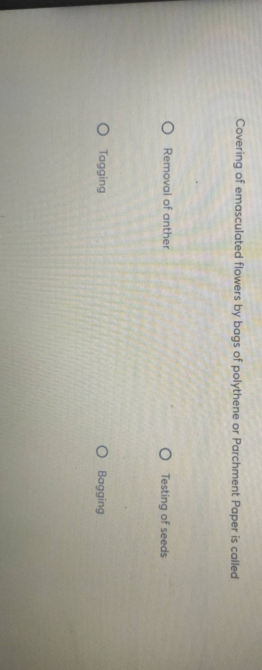 Covering of emasculated flowers by bags of polythene or Parchment Paper i..