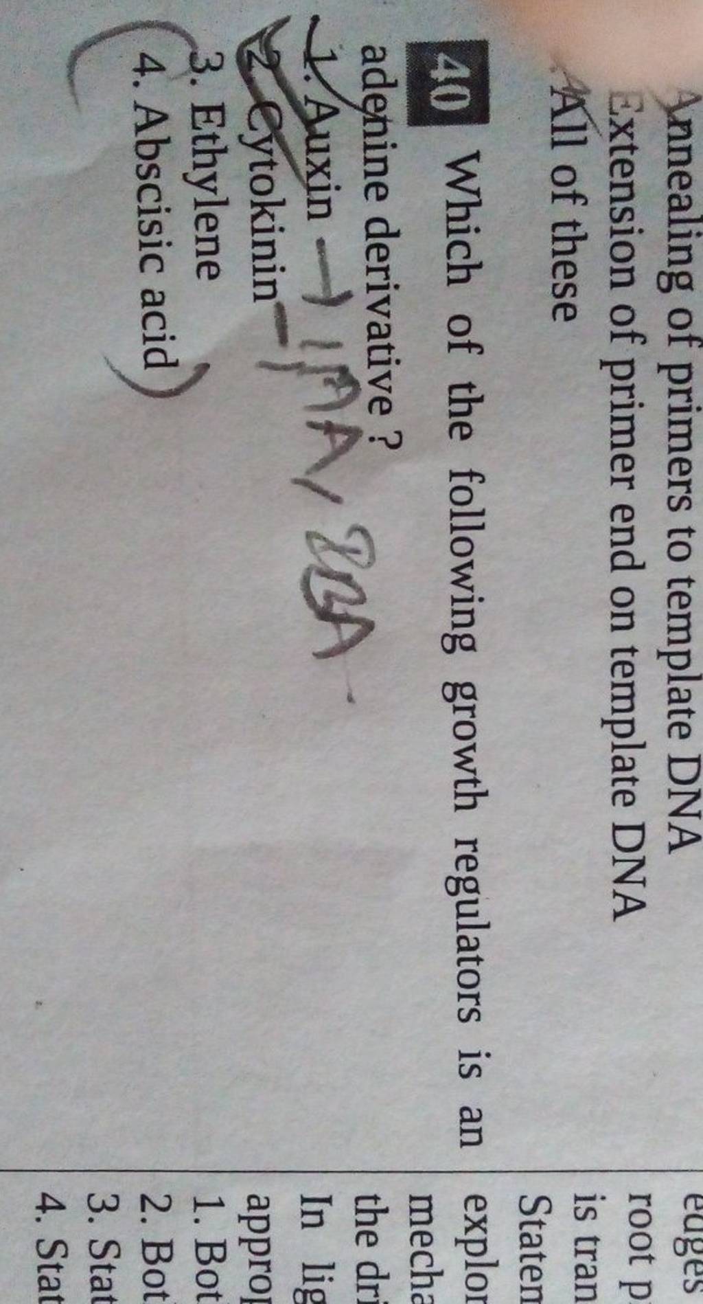 Annealing of primers to template DNA Extension of primer end on template