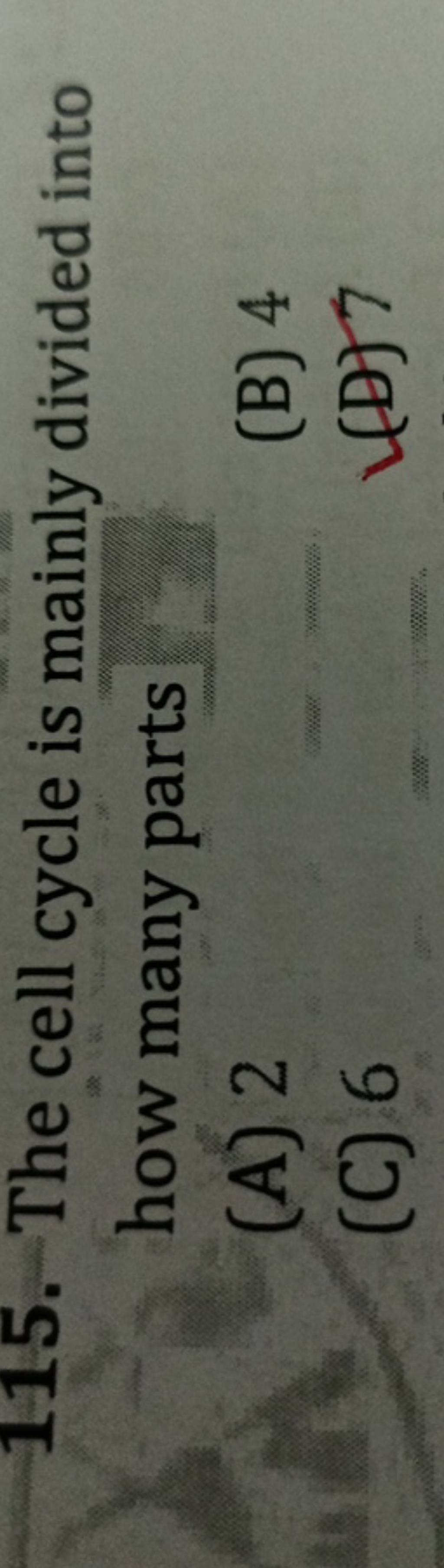 The cell cycle is mainly divided into how many parts Filo