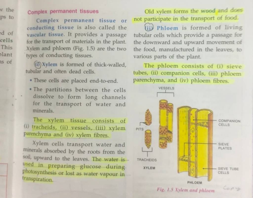 the-complex-permanent-tissues-old-xylem-forms-the-wood-and-does-complex-p