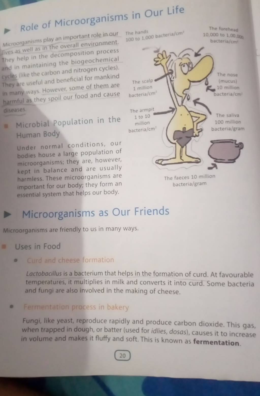 Role of in Our Life play an important role