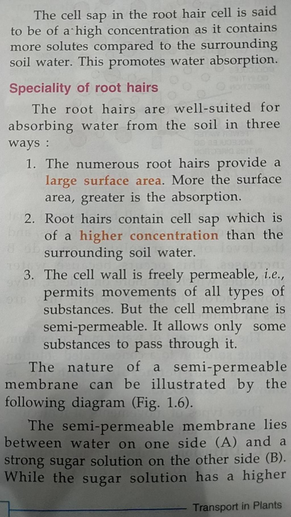 Draw a diagram of the root hair cell as it would appear when a con