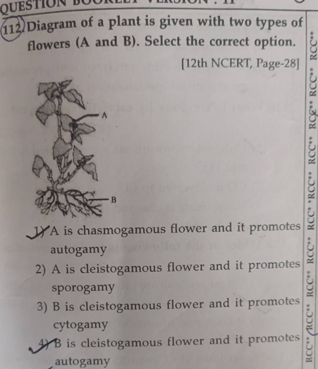 Diagram of a plant is given with two types of flowers (A and B). Select t..