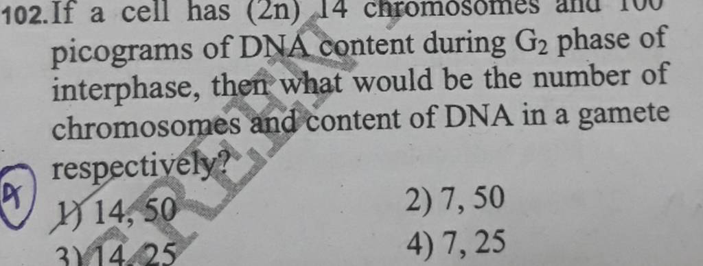 picograms of DNA content during G2 phase of interphase, then what would