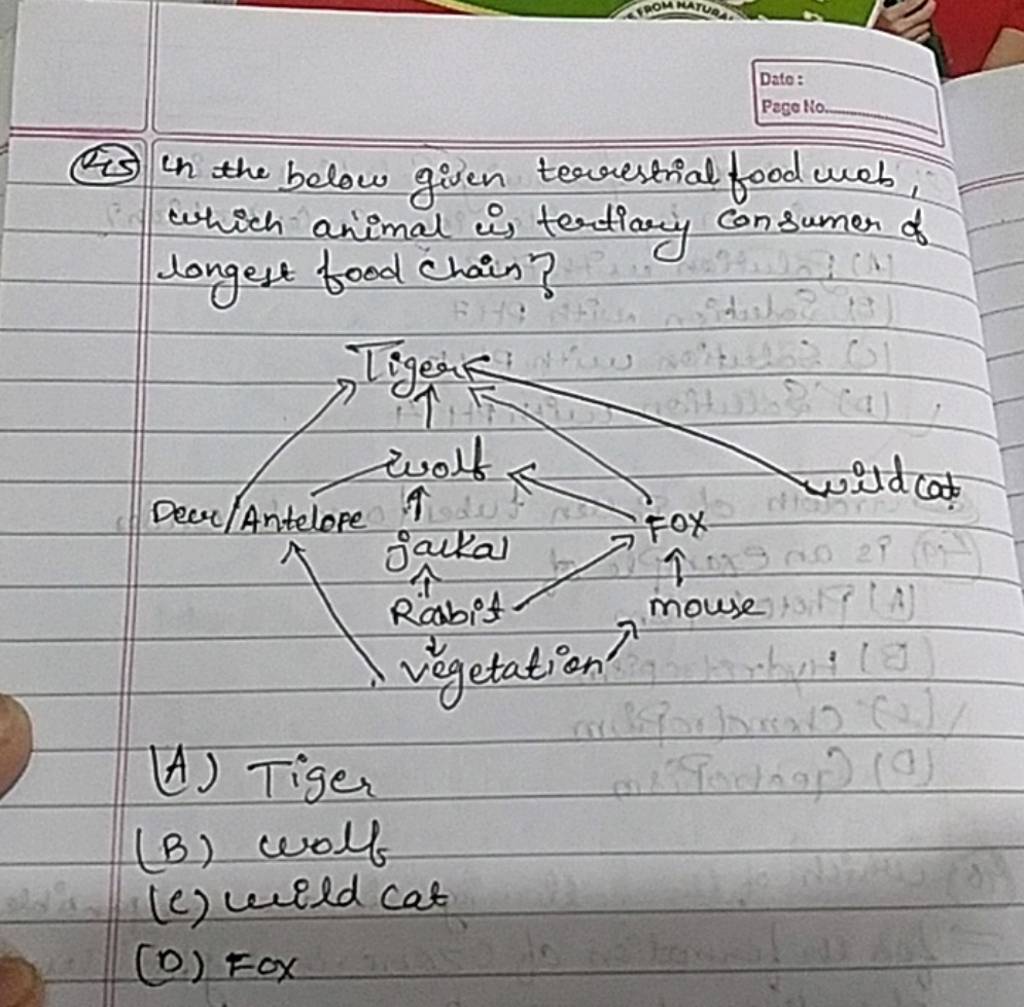 the below given terrestrial food wob which animal is tertiary consumer o..