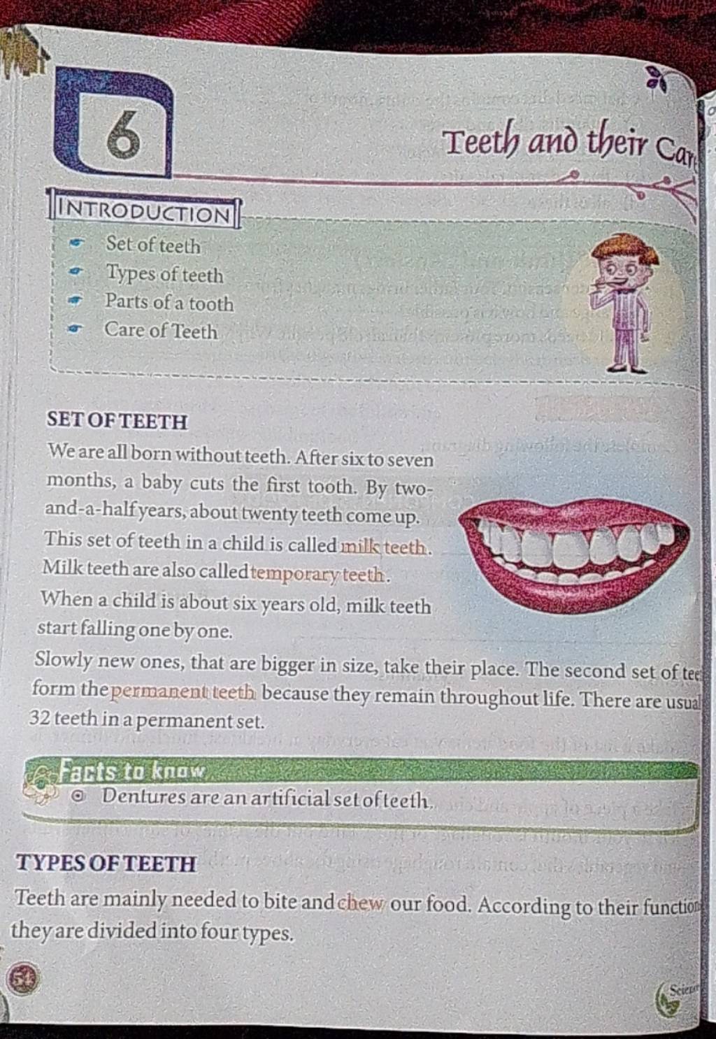 Teeth and their carr INTRODUCTION Set of teeth Types of teeth Parts..