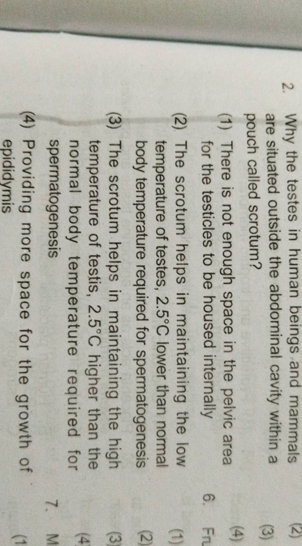 Why the testes in human beings and mammals are situated outside the abdom..