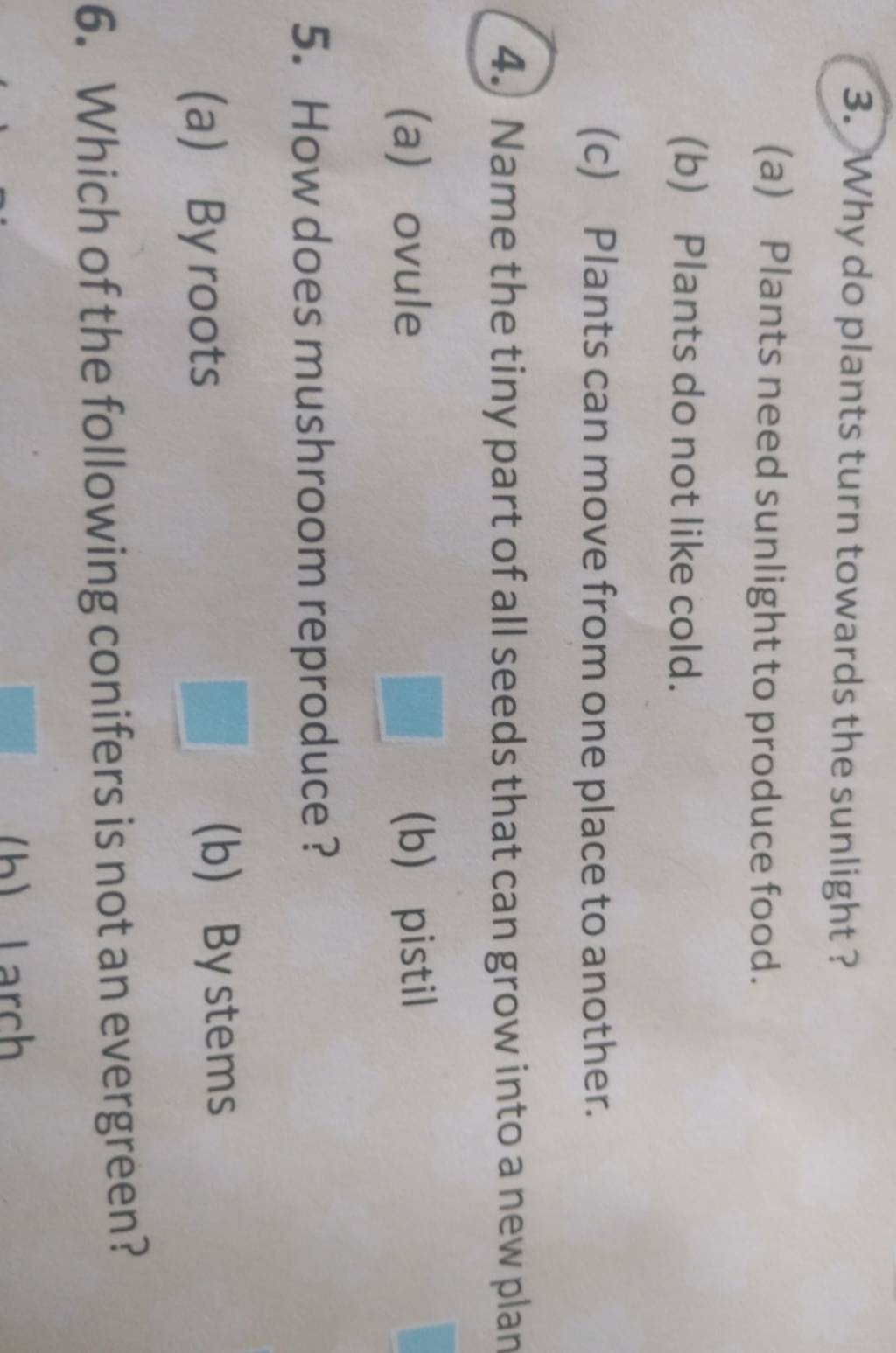 3. Why do plants turn towards the sunlight? (a) Plants need sunlight to p..