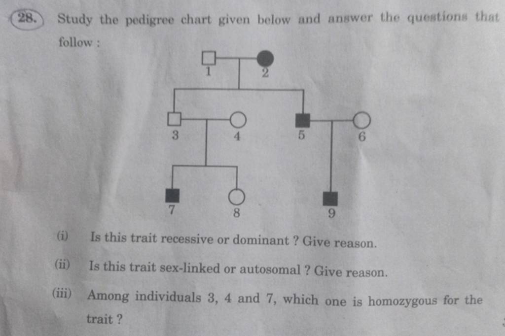 (28.) Study The Pedigree Chart Given Below And Answer The Questions That