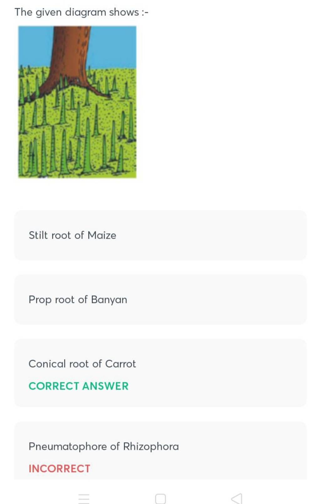 The given diagram shows Stilt root of Maize Prop root of Banyan Conica..