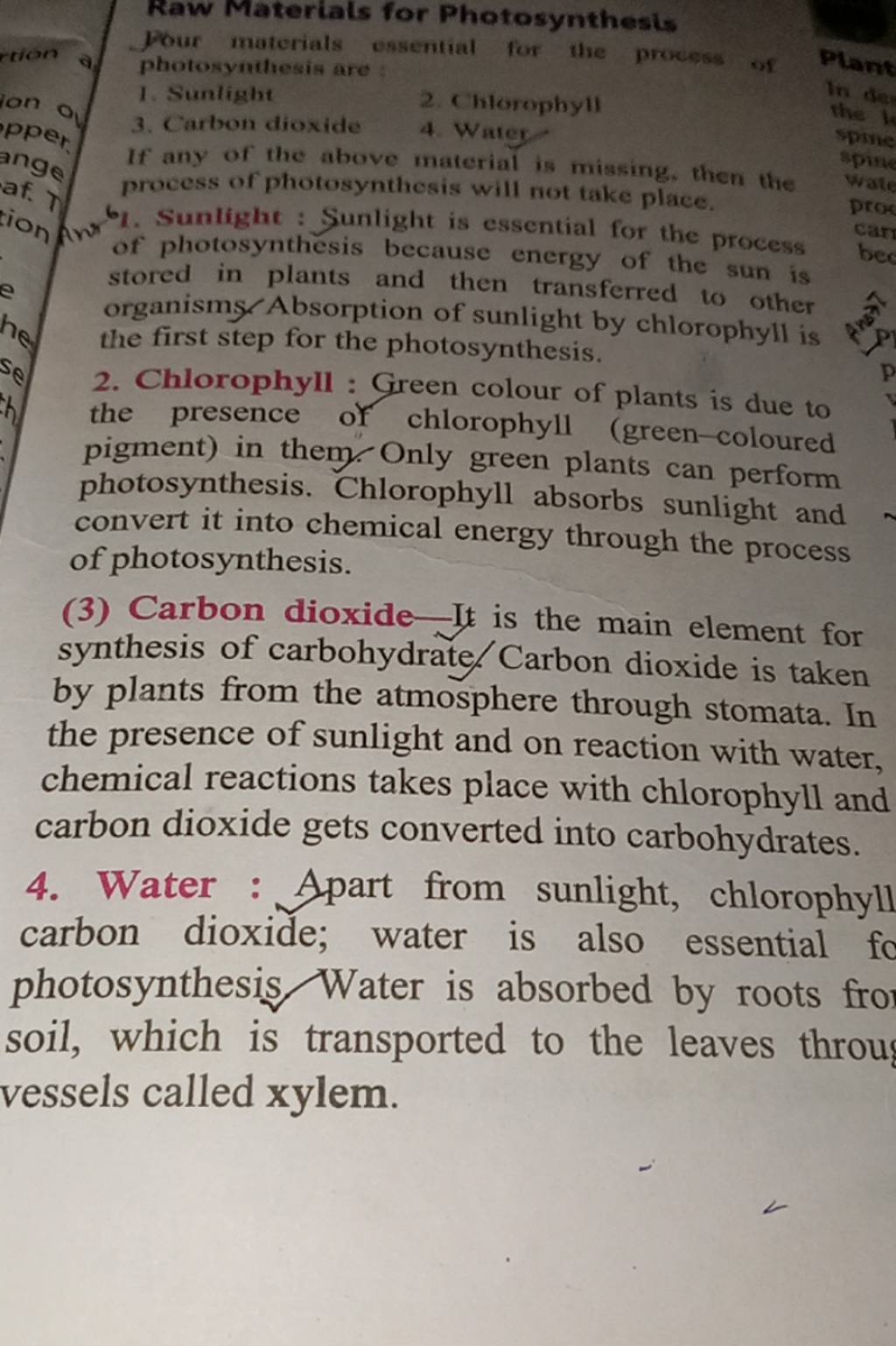 Raw Materiais for Photosynthesis Pour materials essential for the process..