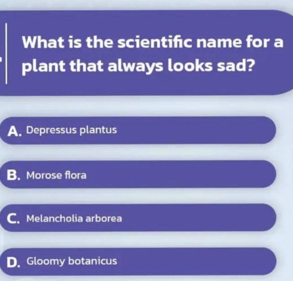 what-is-the-scientific-name-for-a-plant-that-always-looks-sad-filo