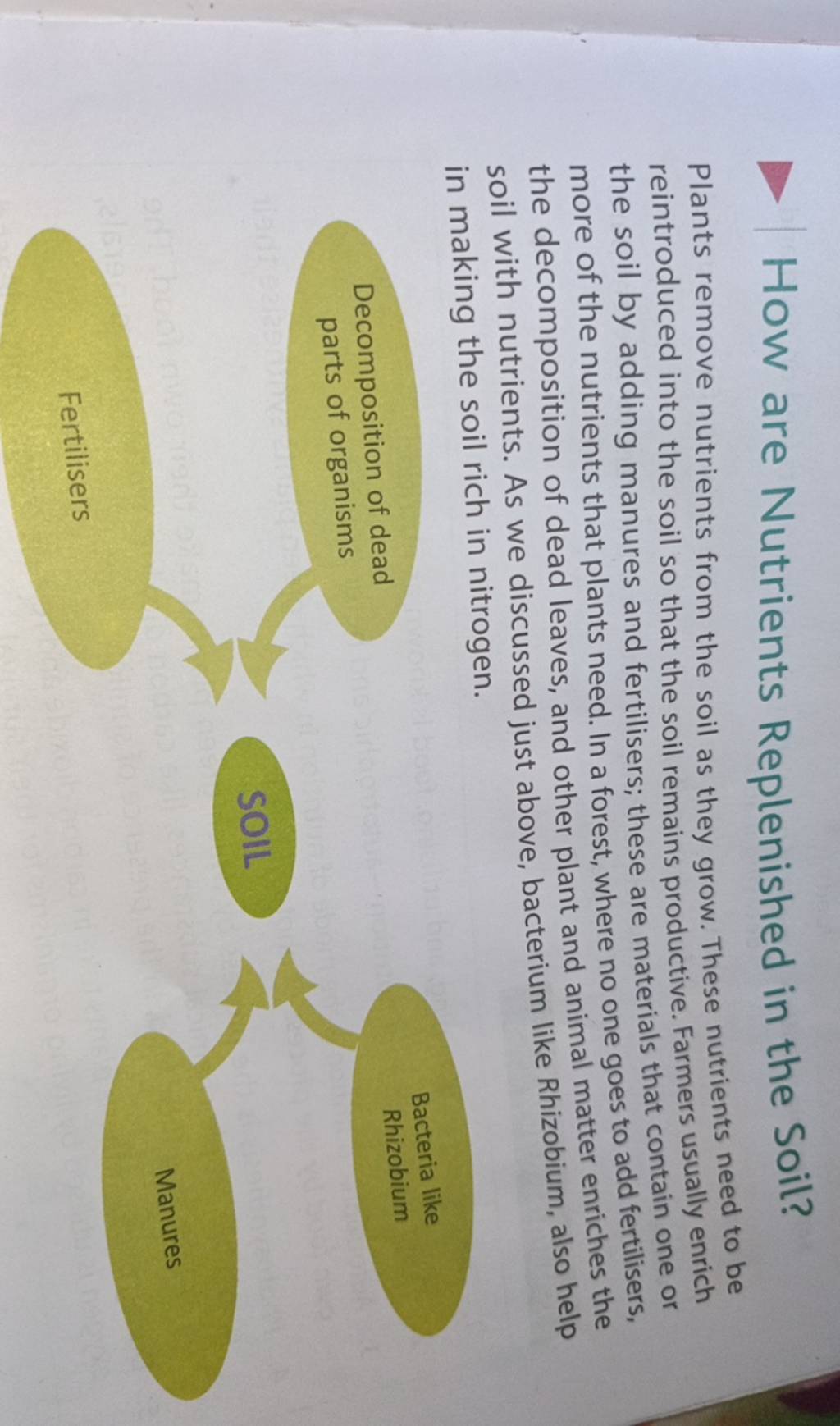 how-are-nutrients-replenished-in-the-soil-plants-remove-nutrients-from-t