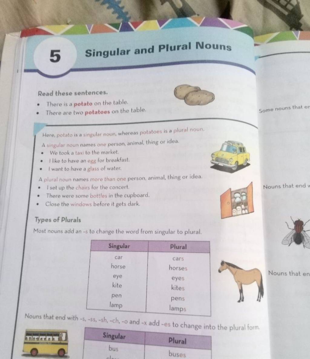 5-singular-and-plural-nouns-read-these-sentences-there-is-a-potato-on