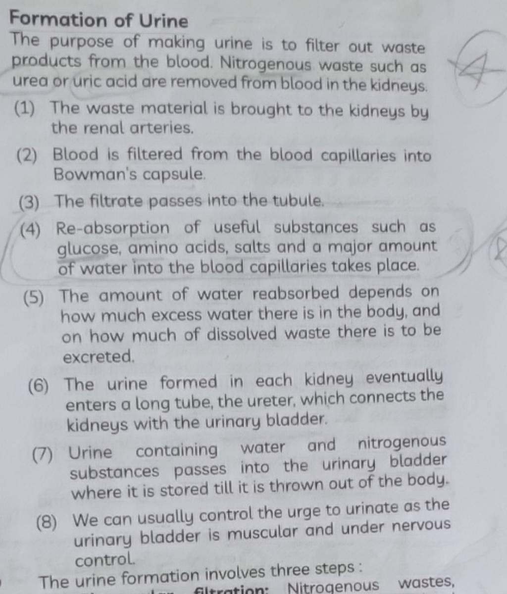 Formation of Urine The purpose of making urine is to filter out waste pro..