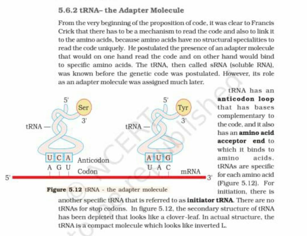 5.6.2 tRNAthe Adapter Molecule From the very beginning of the propositio..
