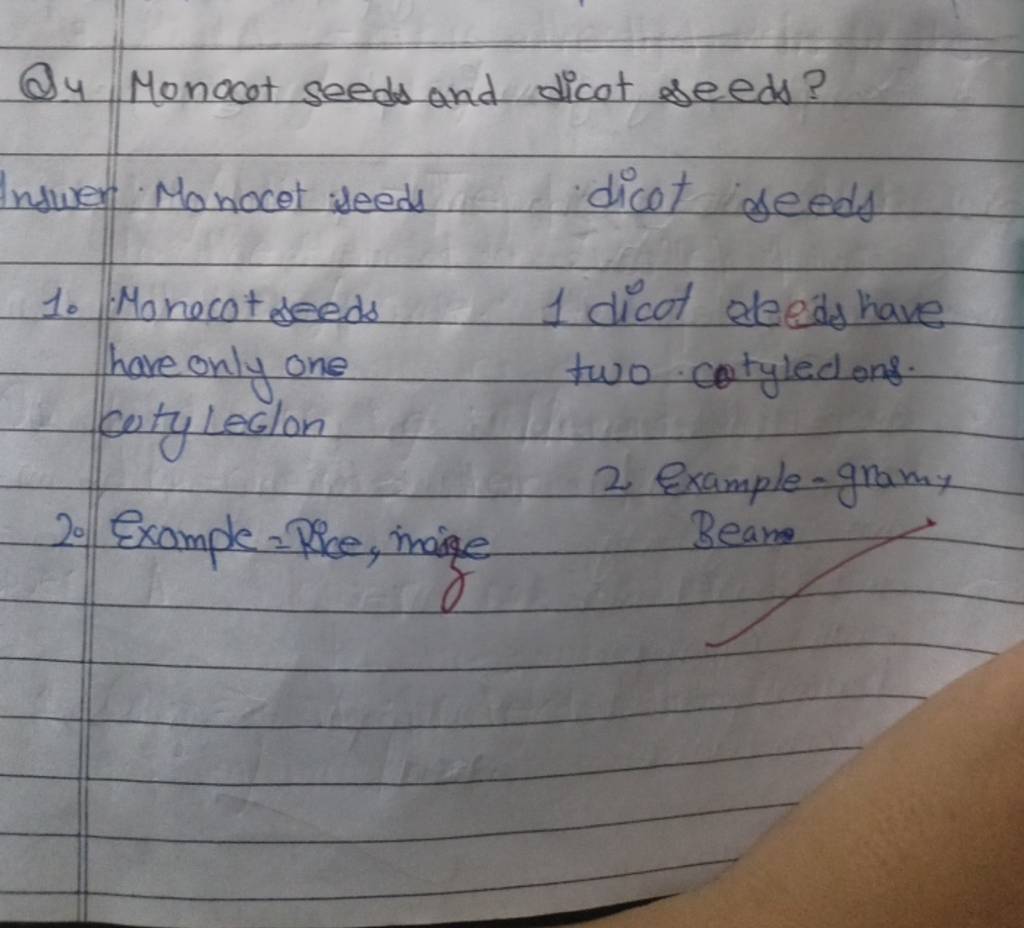 Q4. Monocot seeds and dicot seeds? Filo