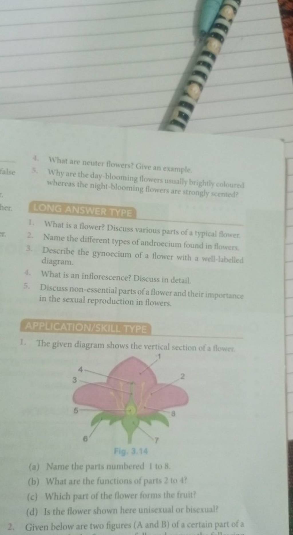 What Is Flower Give An Example at Eric Green blog