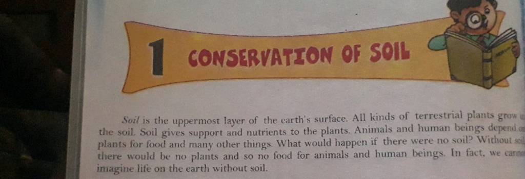 this is the top layer of the earth's surface basically dirt