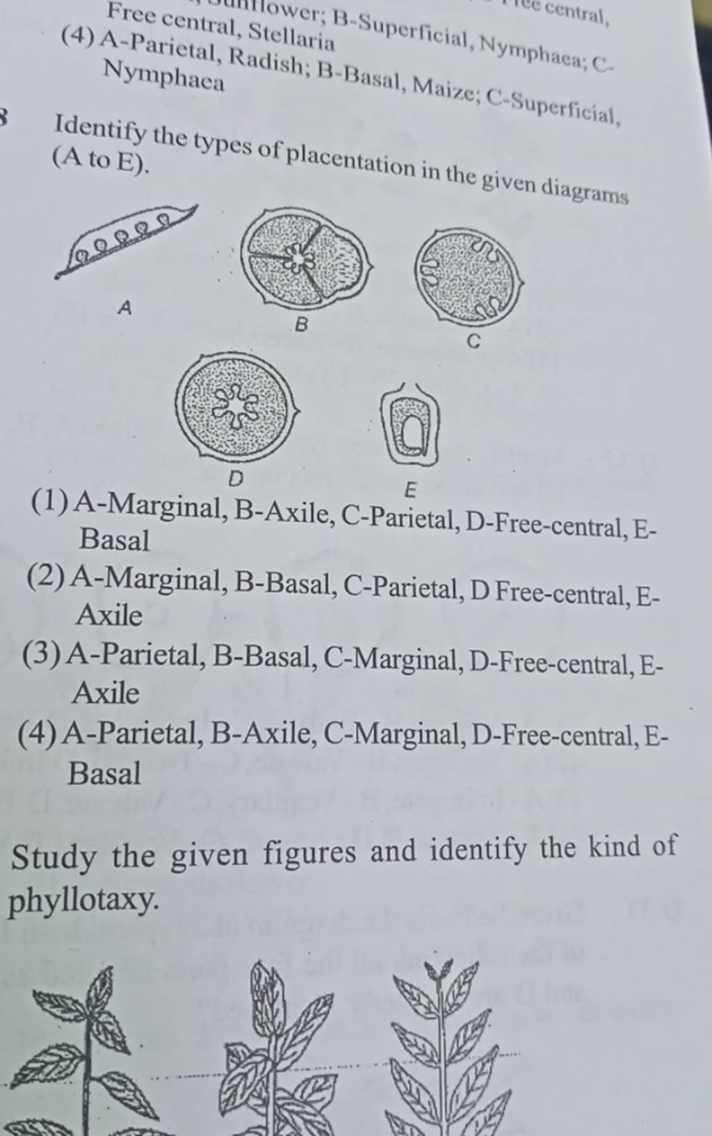 identify-the-types-of-placentation-in-the-given-diagrams-a-to-e-a-e