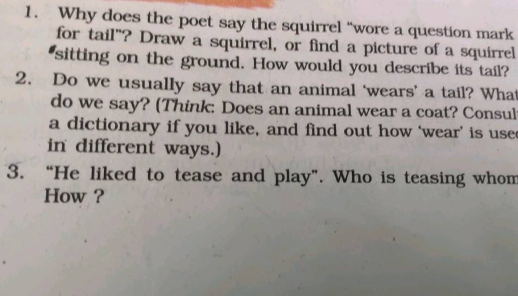 Why Does The Poet Say The Squirrel