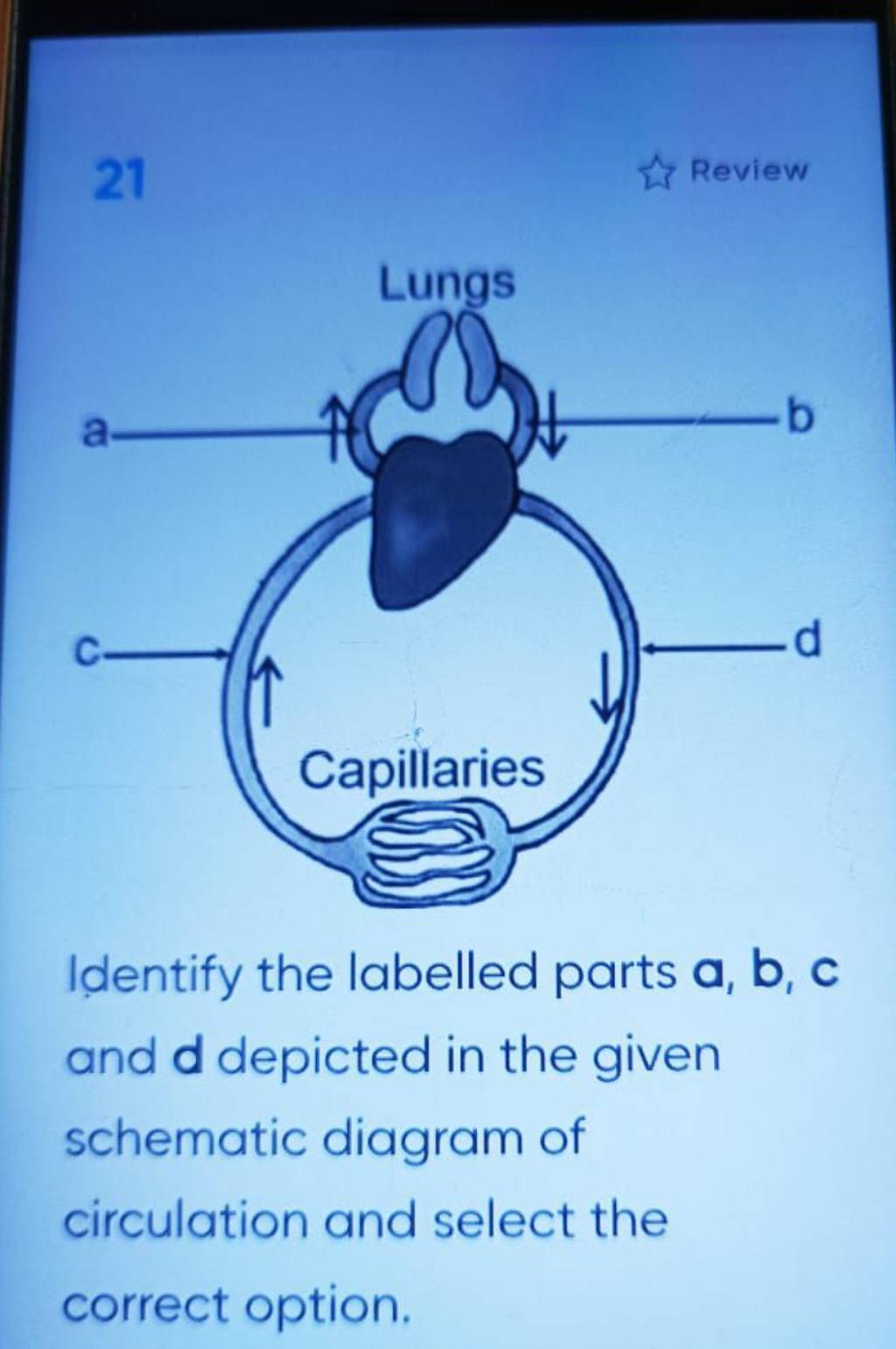 21 Iे Review Identify The Labelled Parts A,b,c And Depicted In The Given