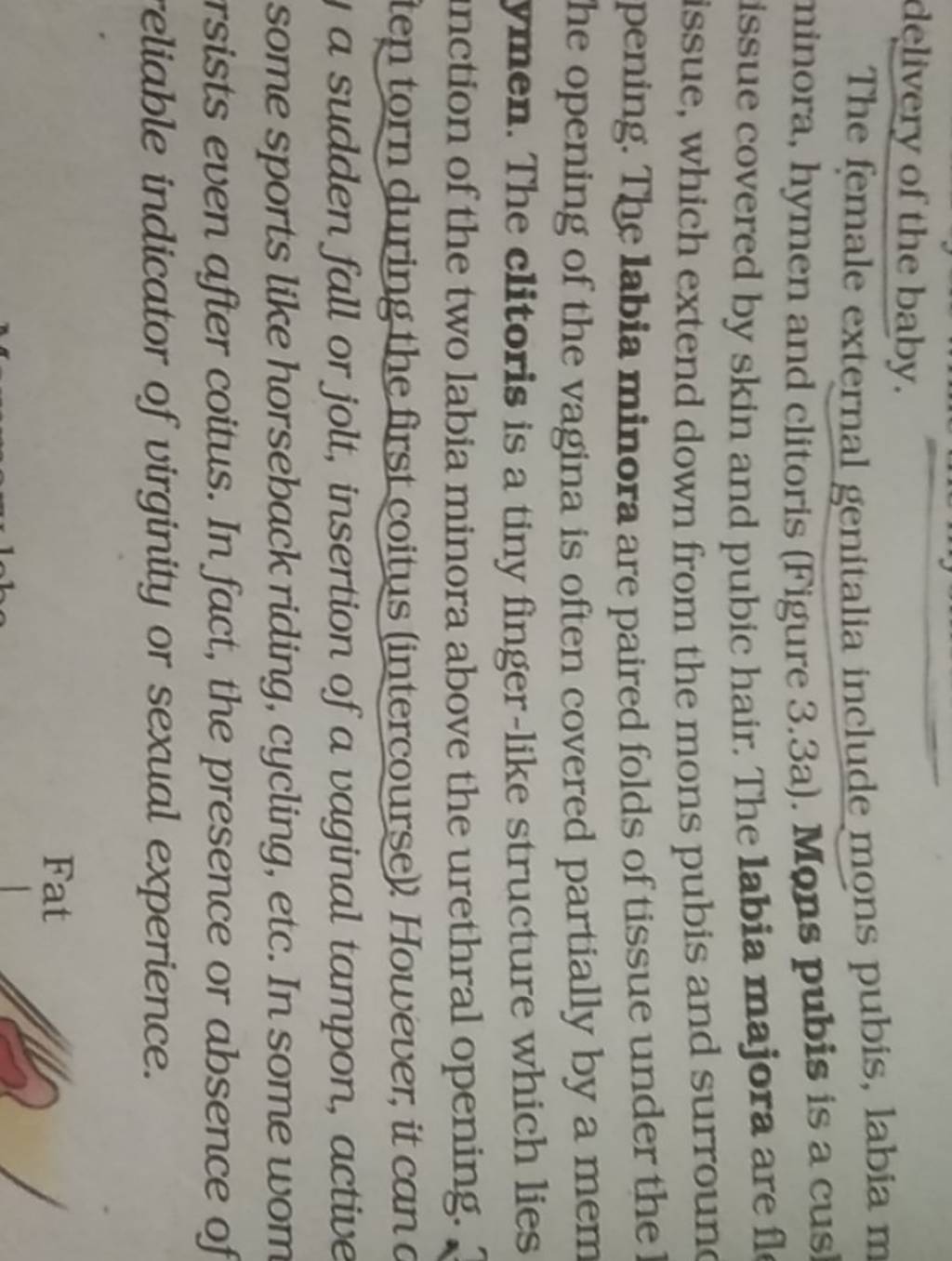 delivery of the baby. The female external genitalia include mons pubis, l..