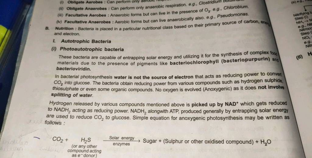 (ii) Obligate Anaerobes Can perform only anaerobic respiration. e.g., C..