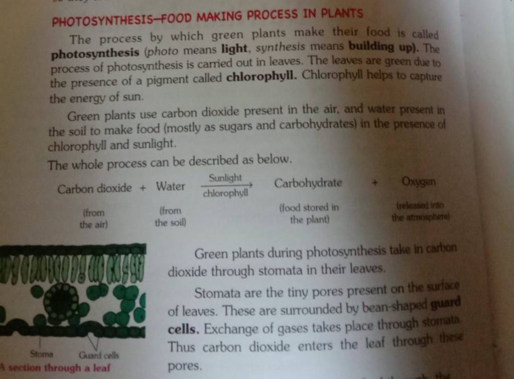 PHOTOSYNTHESISFOOD MAKING PROCESS IN PLANTS The process by which green p..