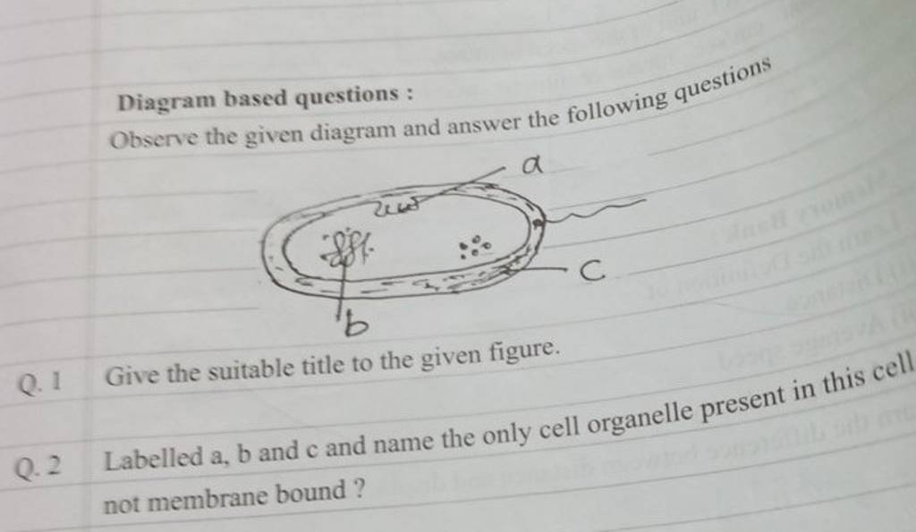 Diagram Based Questions : Observe The Given Diagram And Answer The Follow..