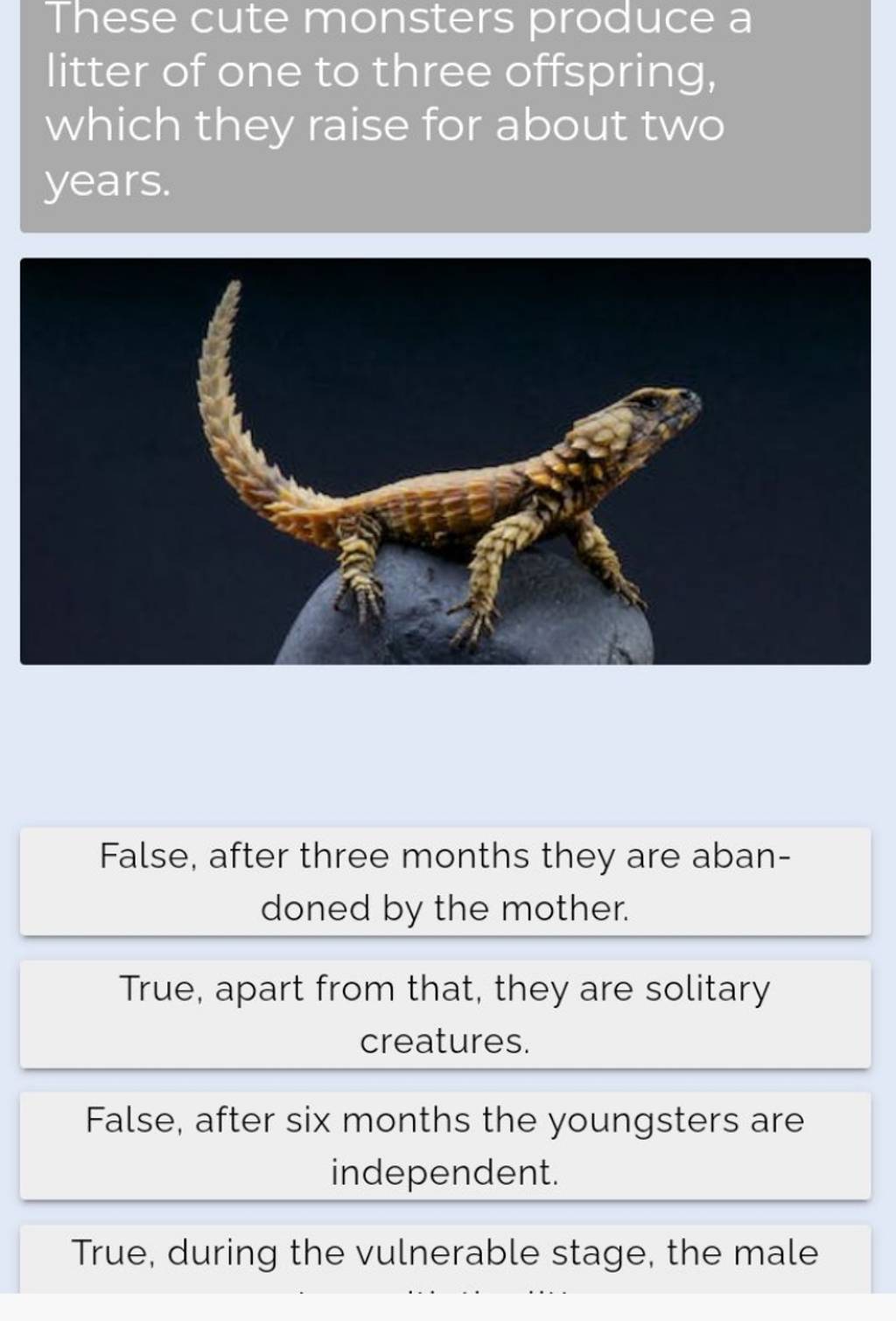 These cute monsters produce a litter of one to three offspring, which the..