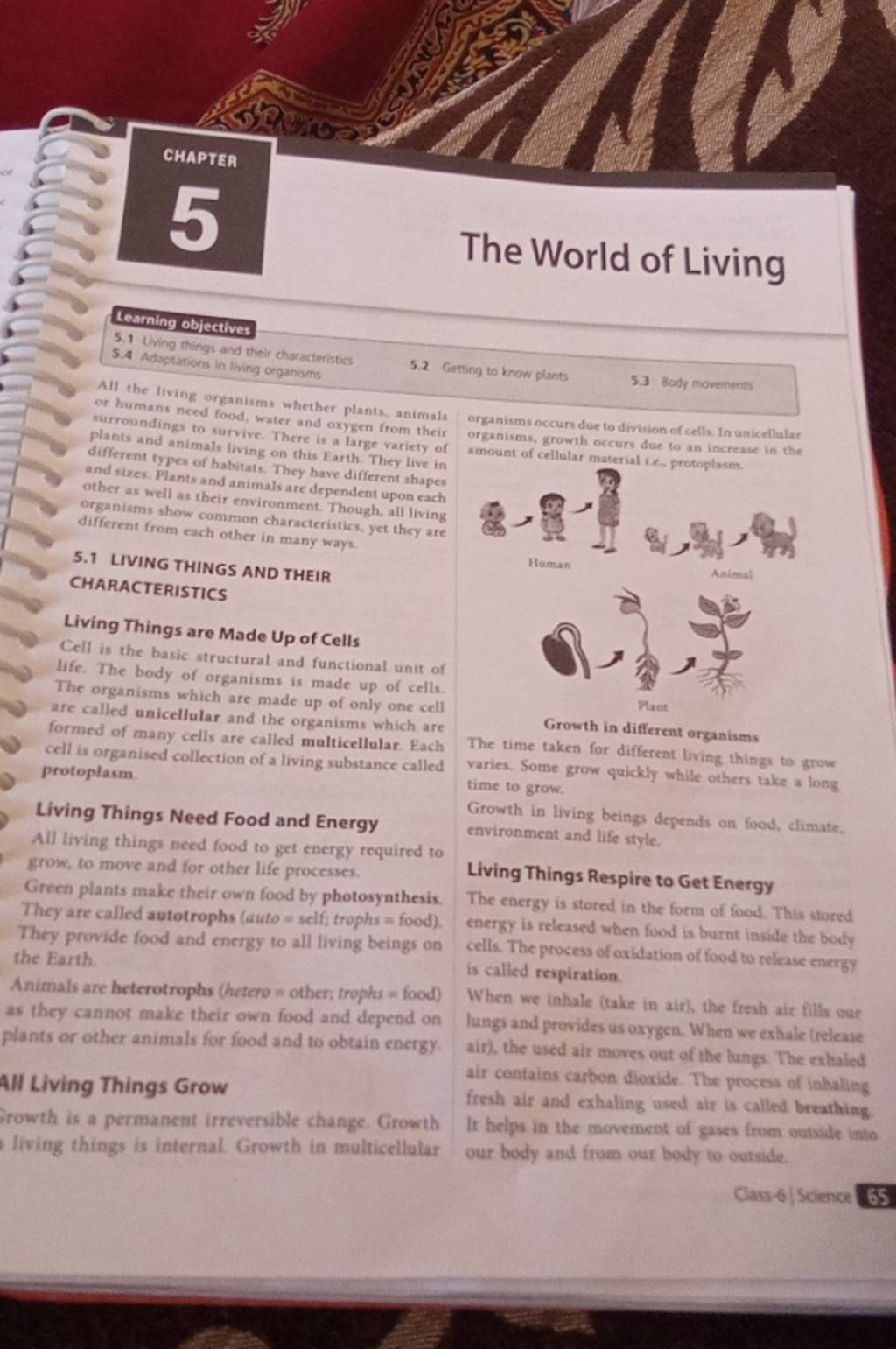 The World of Living All the living organisms whether plants, anima? r hum..