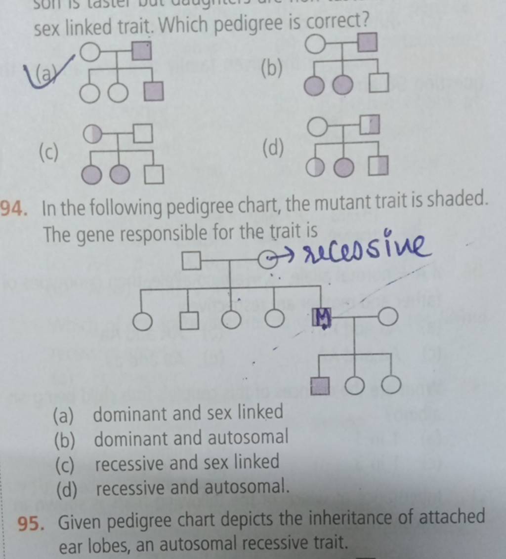 Sex Linked Trait Which Pedigree Is Correct Filo