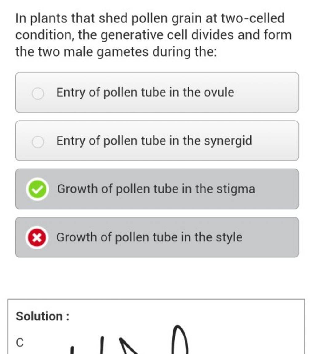 In plants that shed pollen grain at twocelled condition, the generative