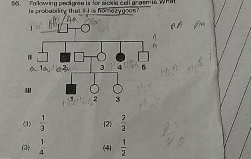 Following pedigree is for sickle cell anaemia. What is probability that I..