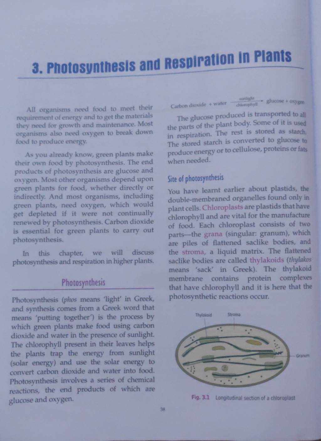 3. Photosynthesis and Respiration in Plants All organisms need food to me..