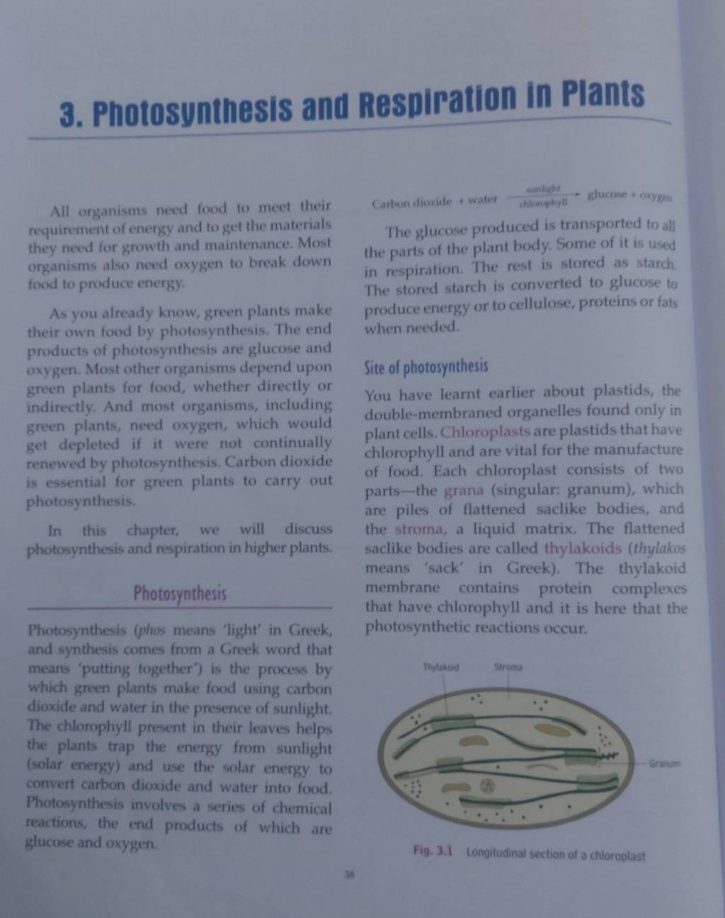 3. Photosynthesis and Respiration in Plants All organisms need food to me..