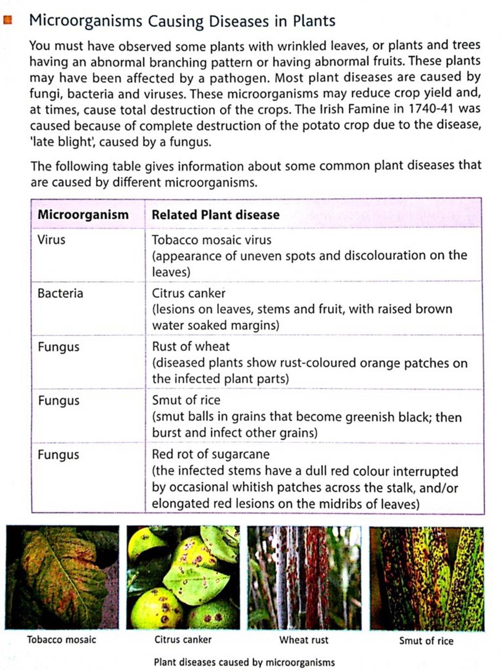 Causing Diseases in Plants You must have observed some..
