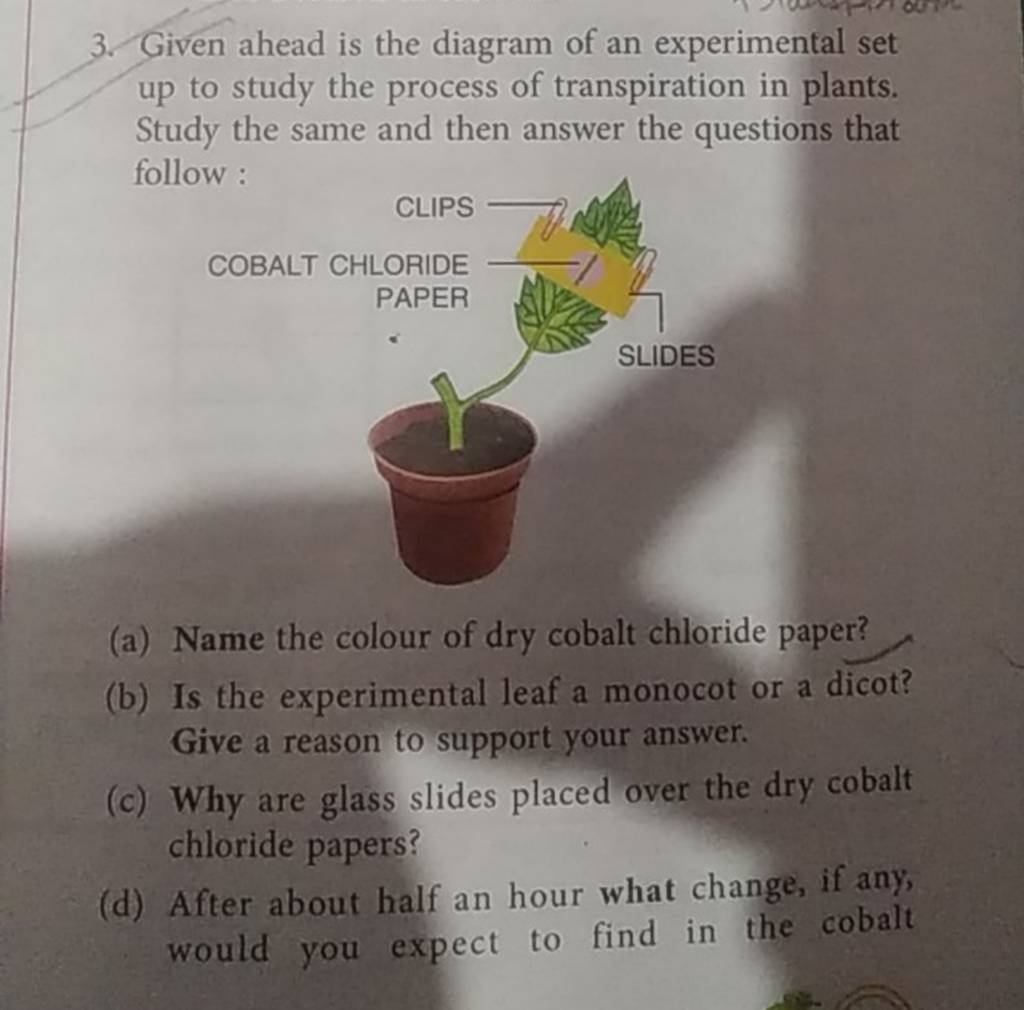 Given ahead is the diagram of an experimental set up to study the process..