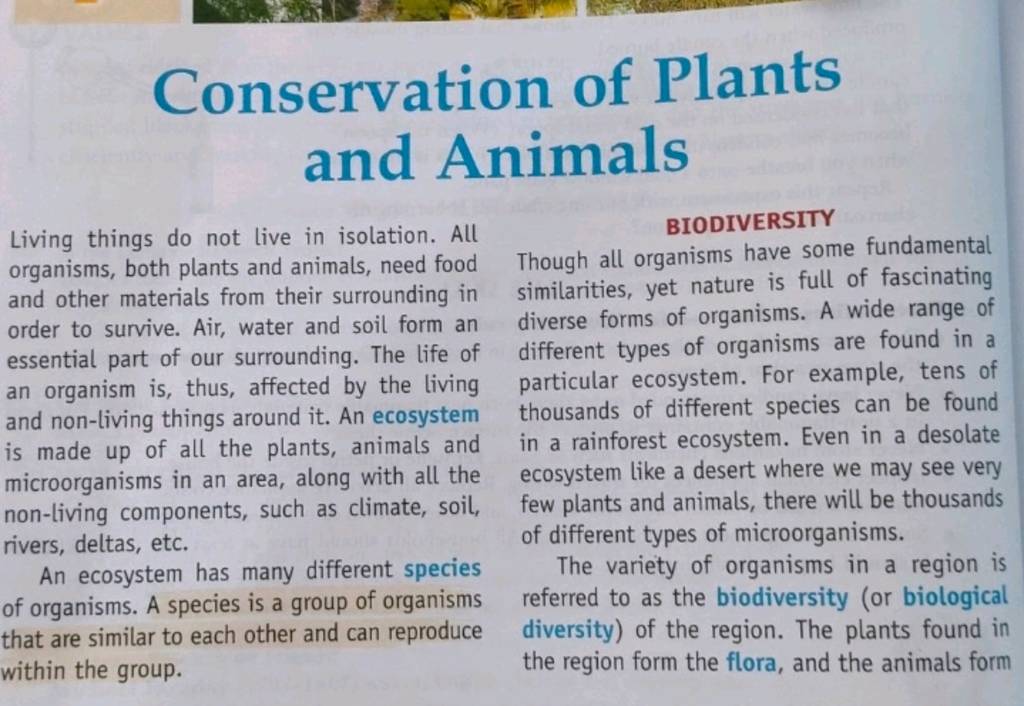 Conservation of Plants and Animals Living things do not live in isolation..