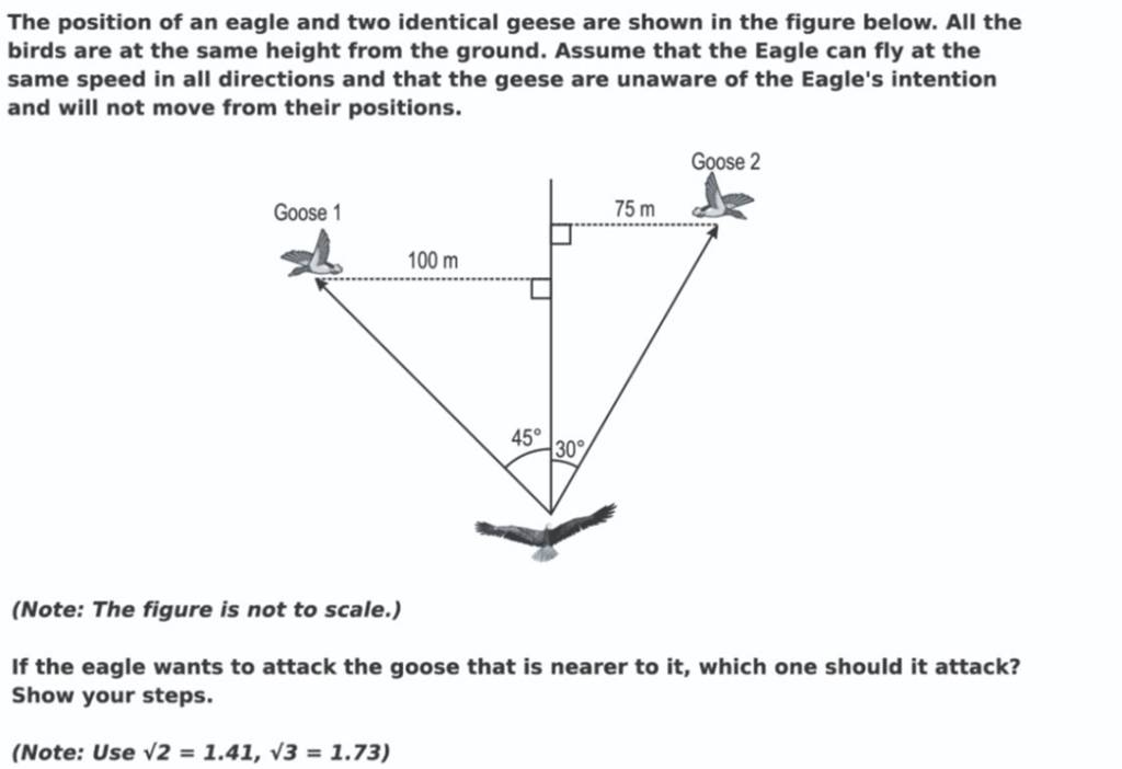 The position of an eagle and two identical geese are shown in the figure