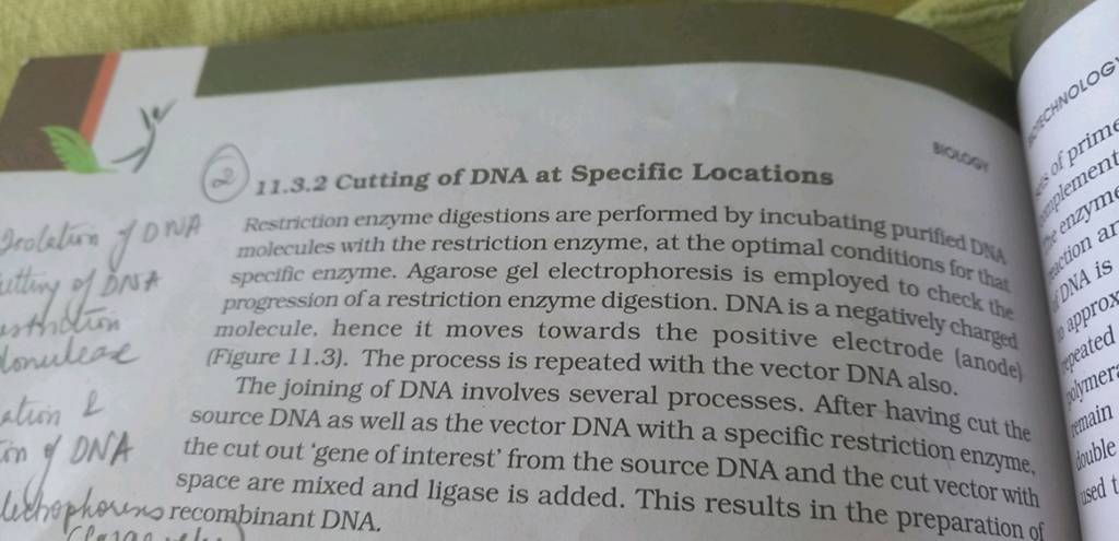 (2) 11.3.2 Cutting Of Dna At Specific Locations 