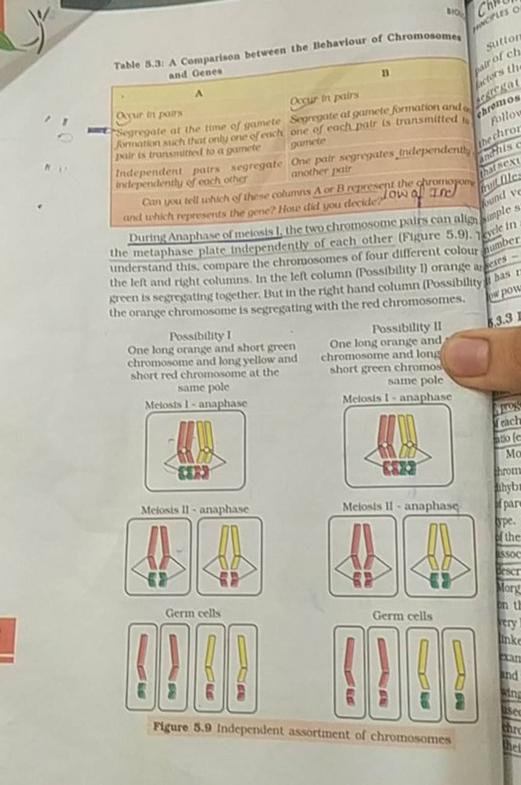 Table 5.3: A Comparison between the Behaviour of Chromosomes and Genes A