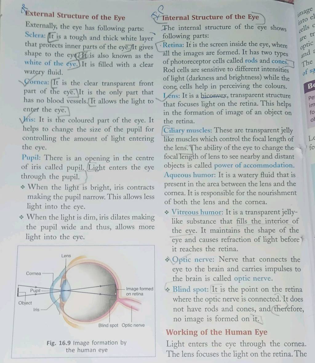 external-structure-of-the-eye-externally-the-eye-has-following-parts-sc