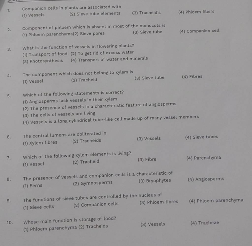 The functions of sieve tubes are controlled by the nucleus of Filo