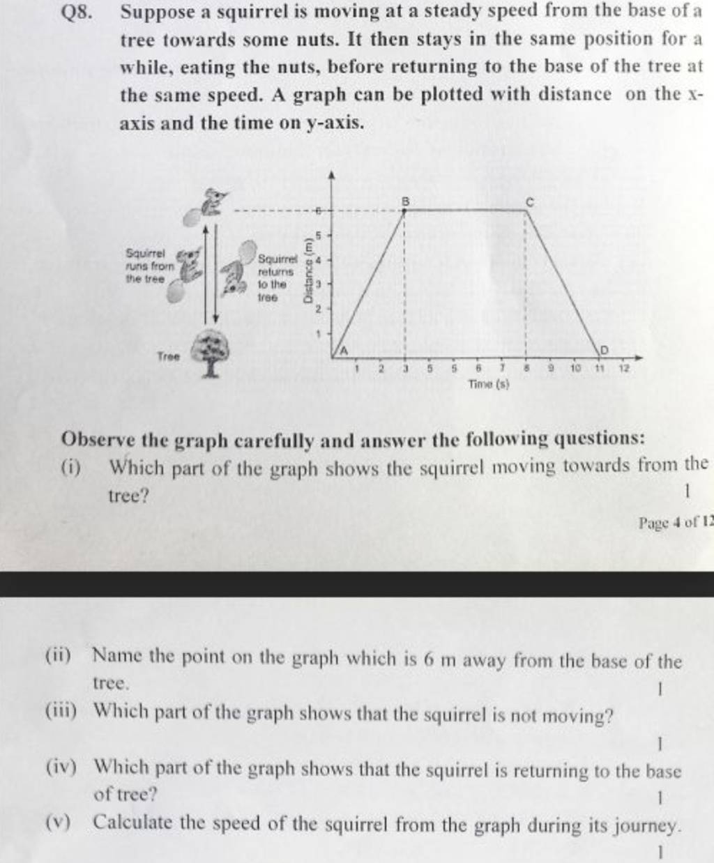 Q8. Suppose a squirrel is moving at a steady speed from the base of a tre..