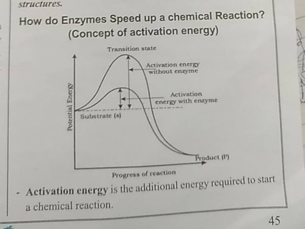 structures. How do Enzymes Speed up a chemical Reaction? (Concept of acti..