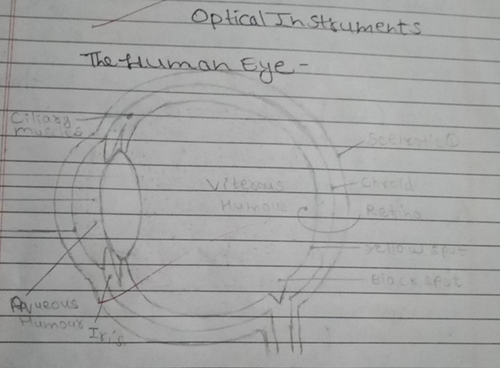 Optical Instruments The Human Eye Filo