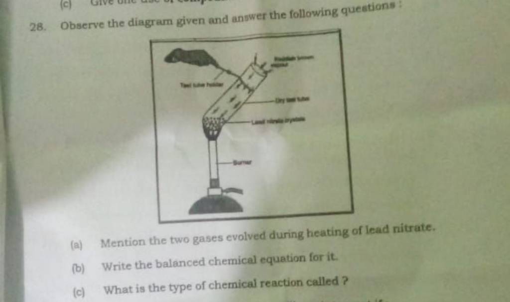 28. Observe The Diagram Given And Answer The Following Questions : (a) Me..