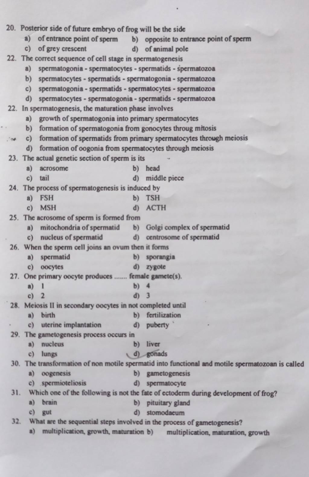 the-correct-sequence-of-cell-stage-in-spermatogenesis-filo
